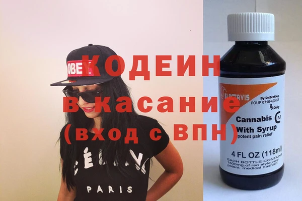 дживик Няндома