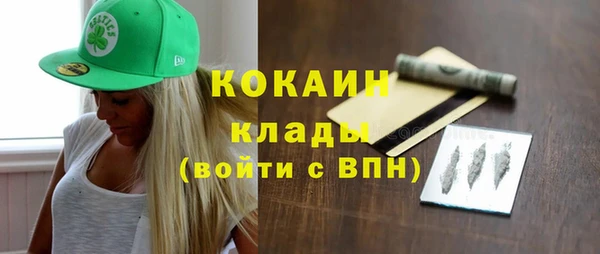 дживик Няндома