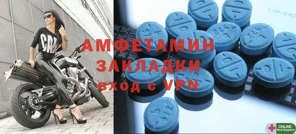 дживик Няндома