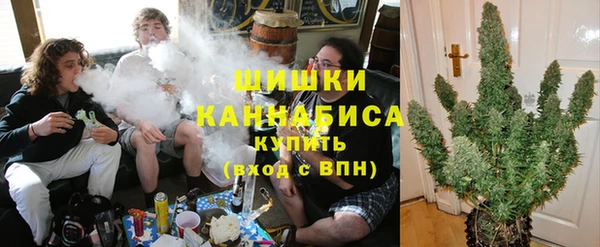 дживик Няндома