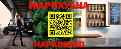 гашик Берёзовский