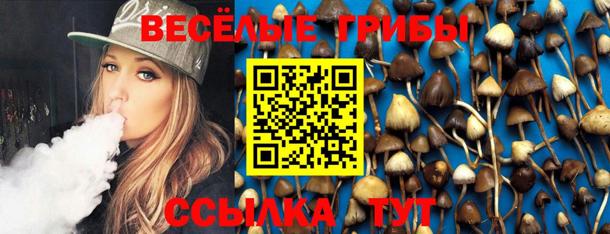 Галлюциногенные грибы GOLDEN TEACHER  Галлюциногенные грибы Magic Shrooms  Невинномысск  Вход с VPN 